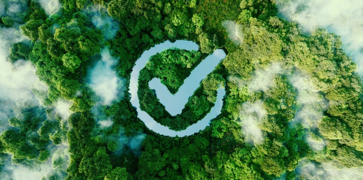 istock-1340881556.jpg